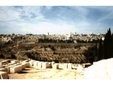 Jerusalem from the East - the Dome of the Rock from Mt of Olives